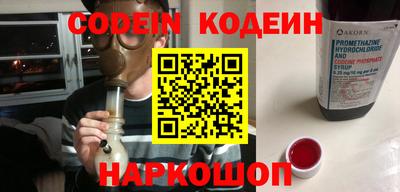 индика Сланцы