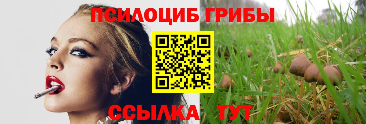 Галлюциногенные грибы MAGIC MUSHROOMS  Вход с VPN  Наро-Фоминск 